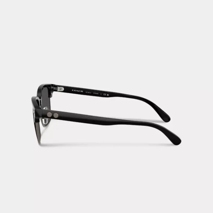 Lunettes de soleil rétro Rogue