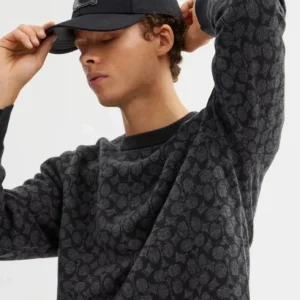 Pull col ras du cou exclusif